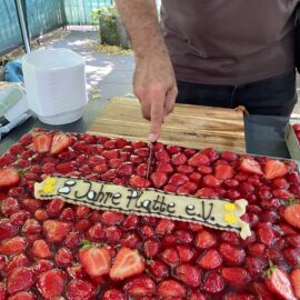 Die Platte e.V. - 8. Geburtstag
